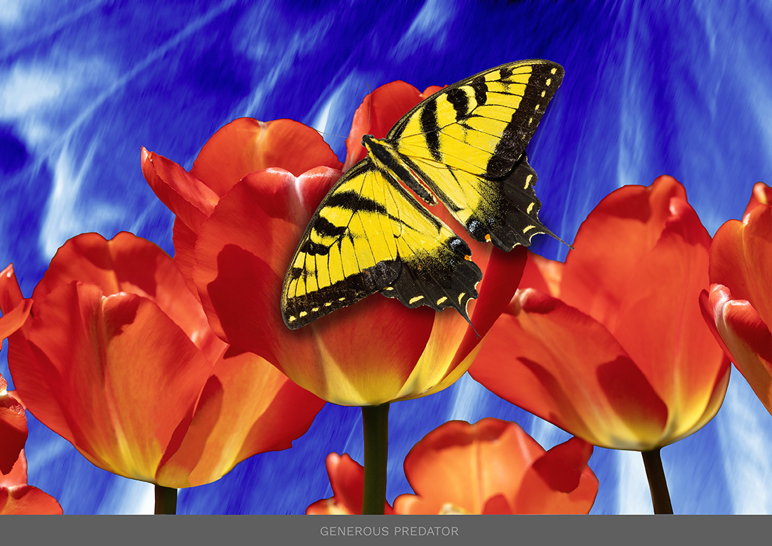 flower_12_new_replace